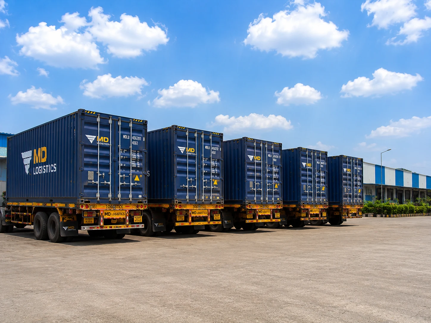 MD Logistics dispatch containers lined up for export movement