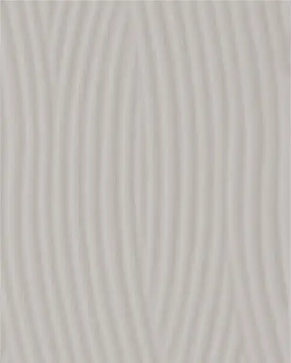 GSP25-P06