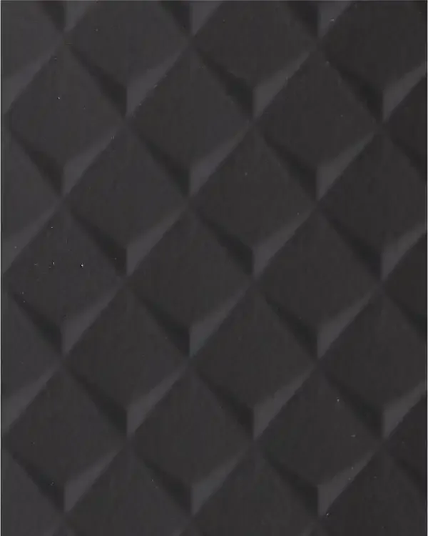 GSP12-P09