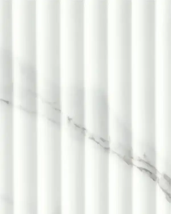 GSP029-P018