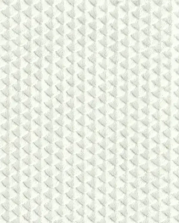GSP017-P02