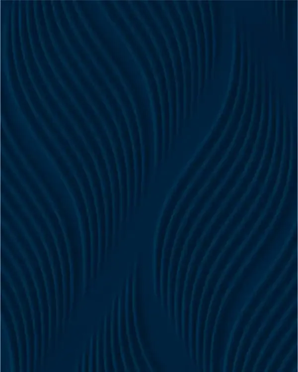GSP009-P08