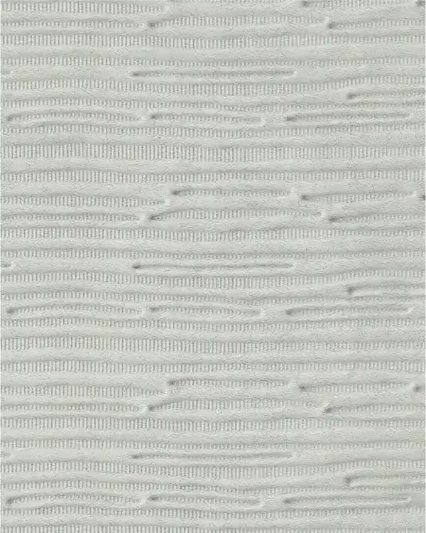 GSP001-P02