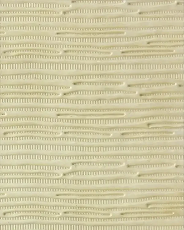 GSP001-P00