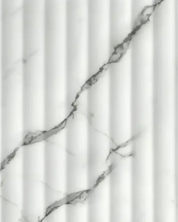 GSP028-P018