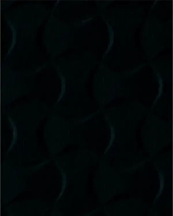 GSP008-P00