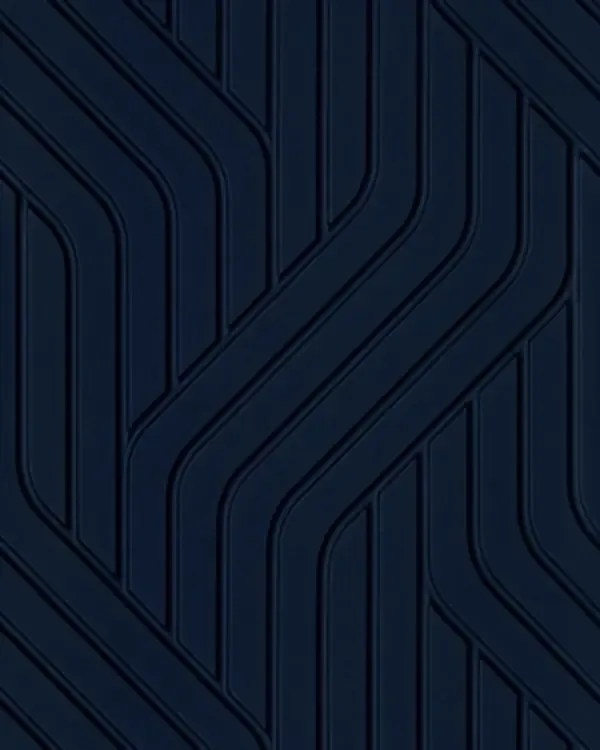 FS016-P08