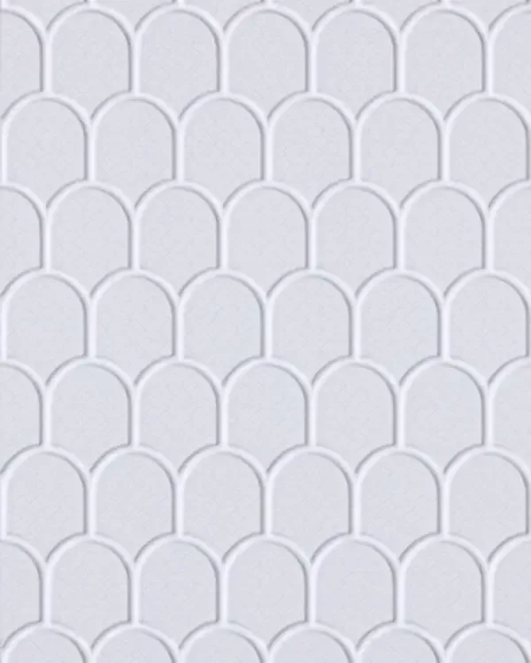 FS014-P006