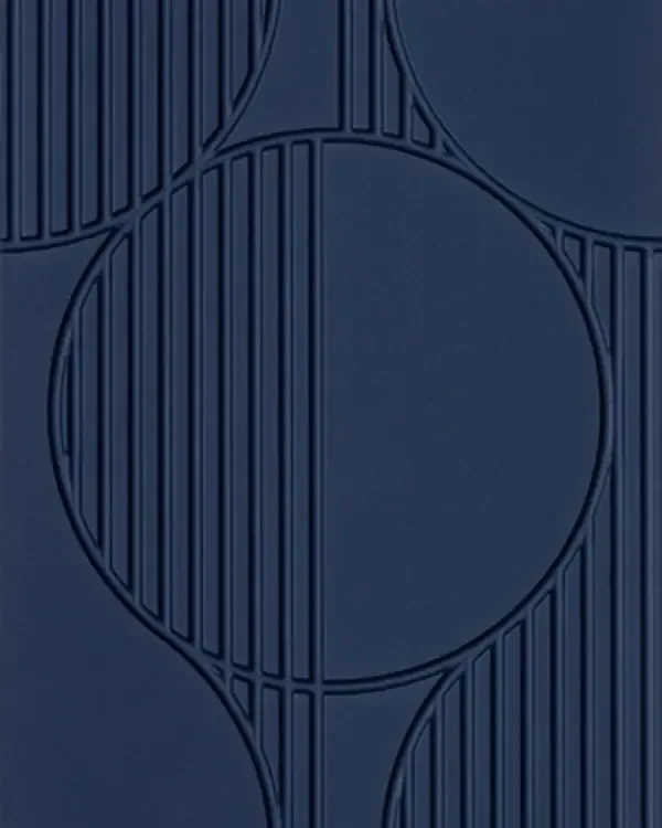 FS011-P008