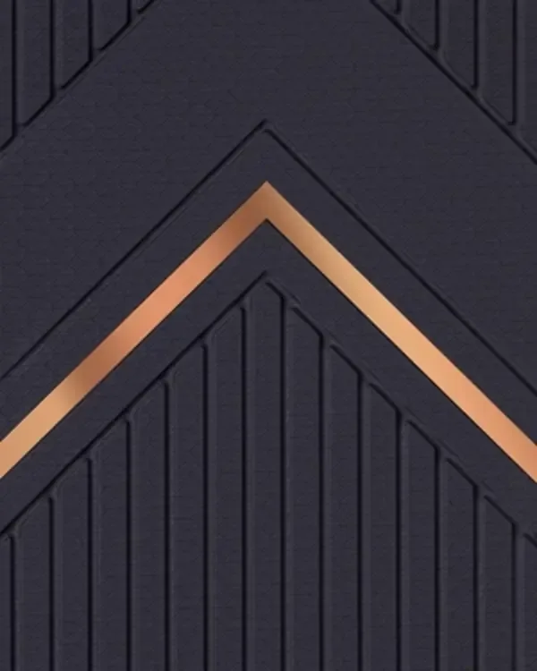 FS008-P07