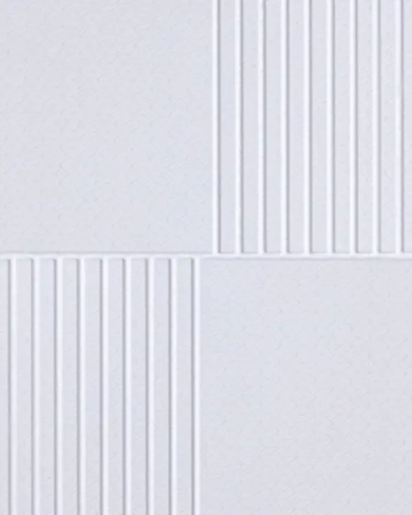 FS004-P06